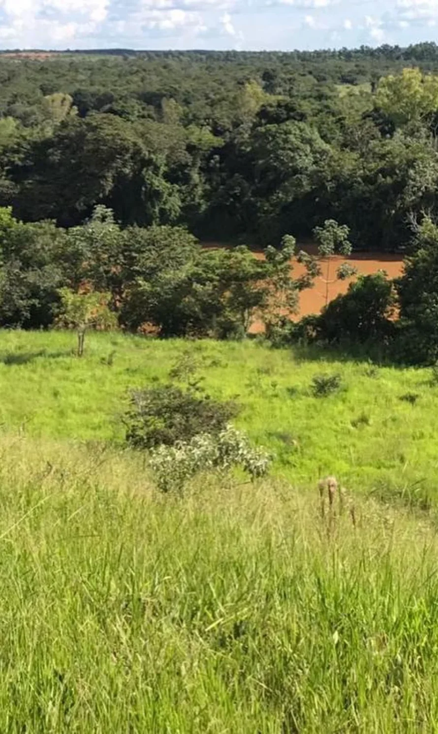 472982113_620513840662539_4066390758749697668_n