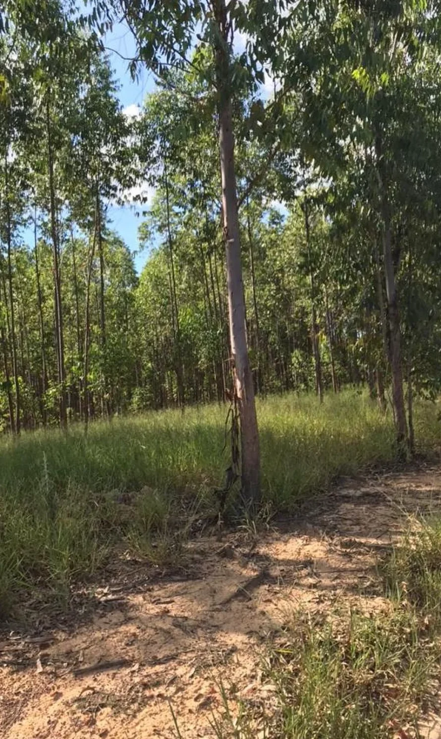 473362180_620513493995907_7585851187888038292_n