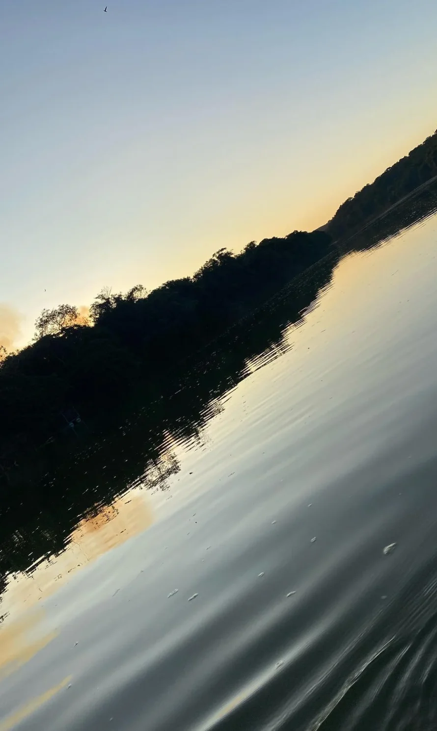 474056356_625422360171687_2597863217575216044_n