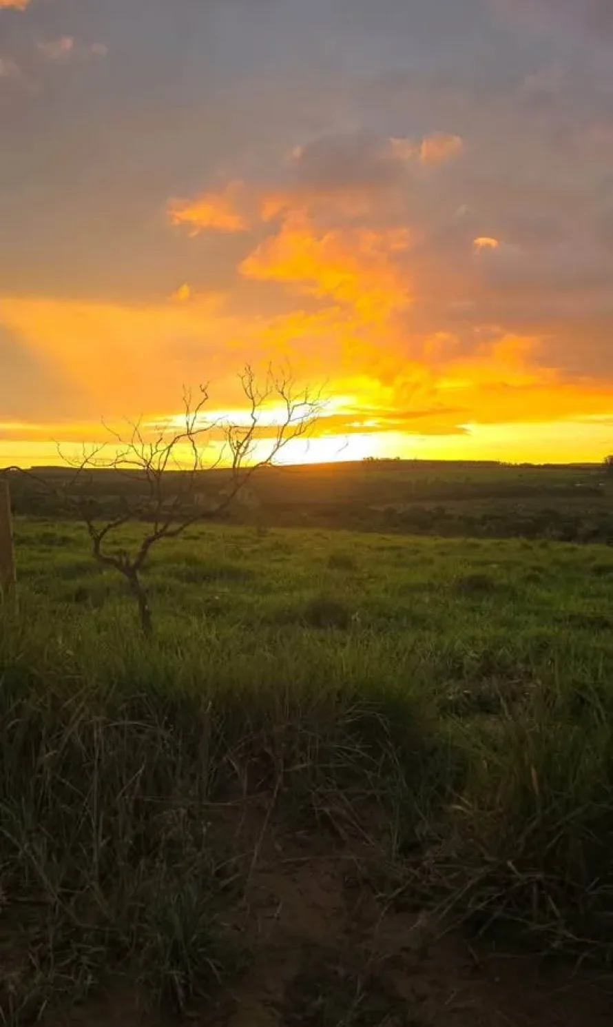 489285443_3537976006334290_1428850441870766496_n