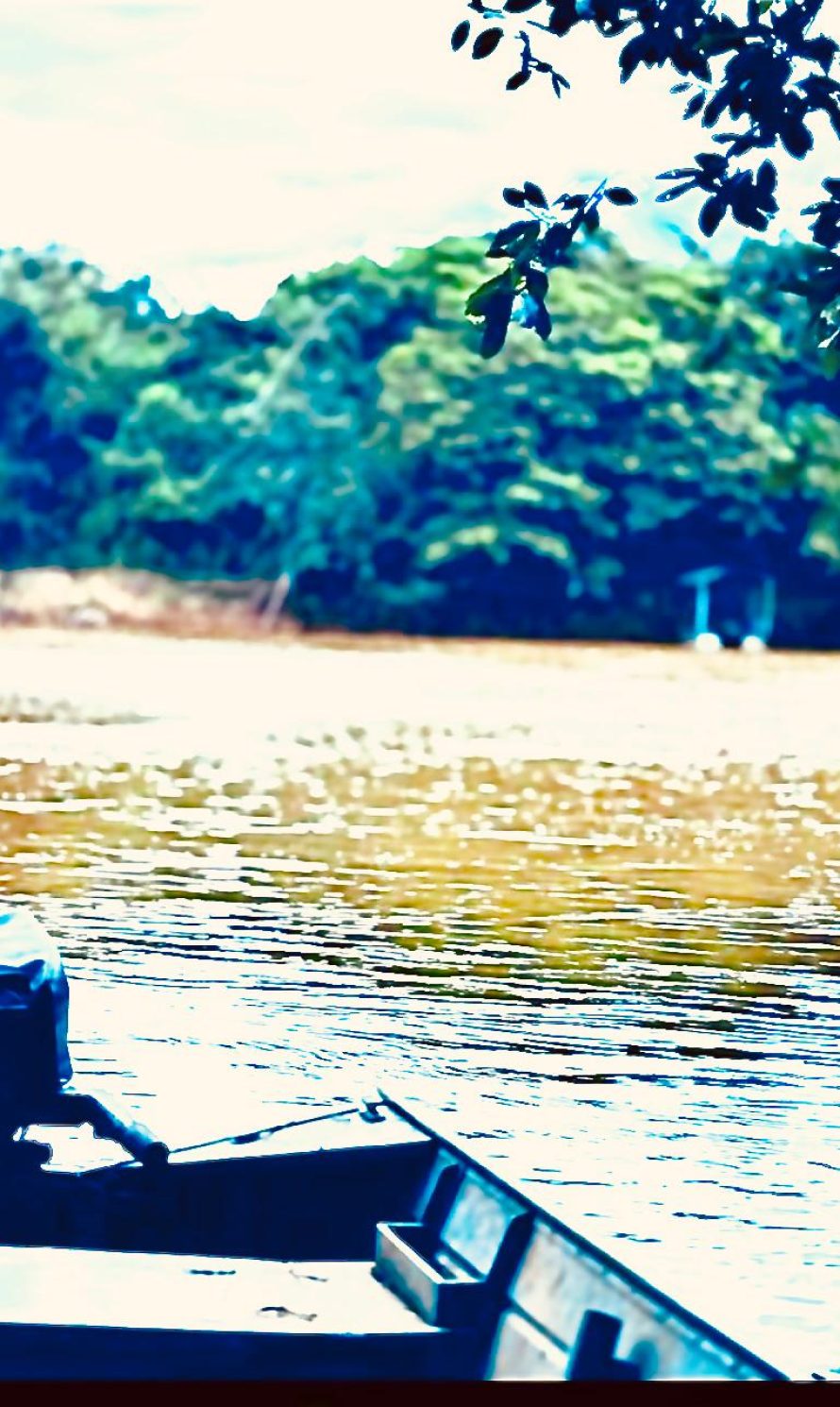 WhatsApp Image 2025-12-10 at 19.19.18