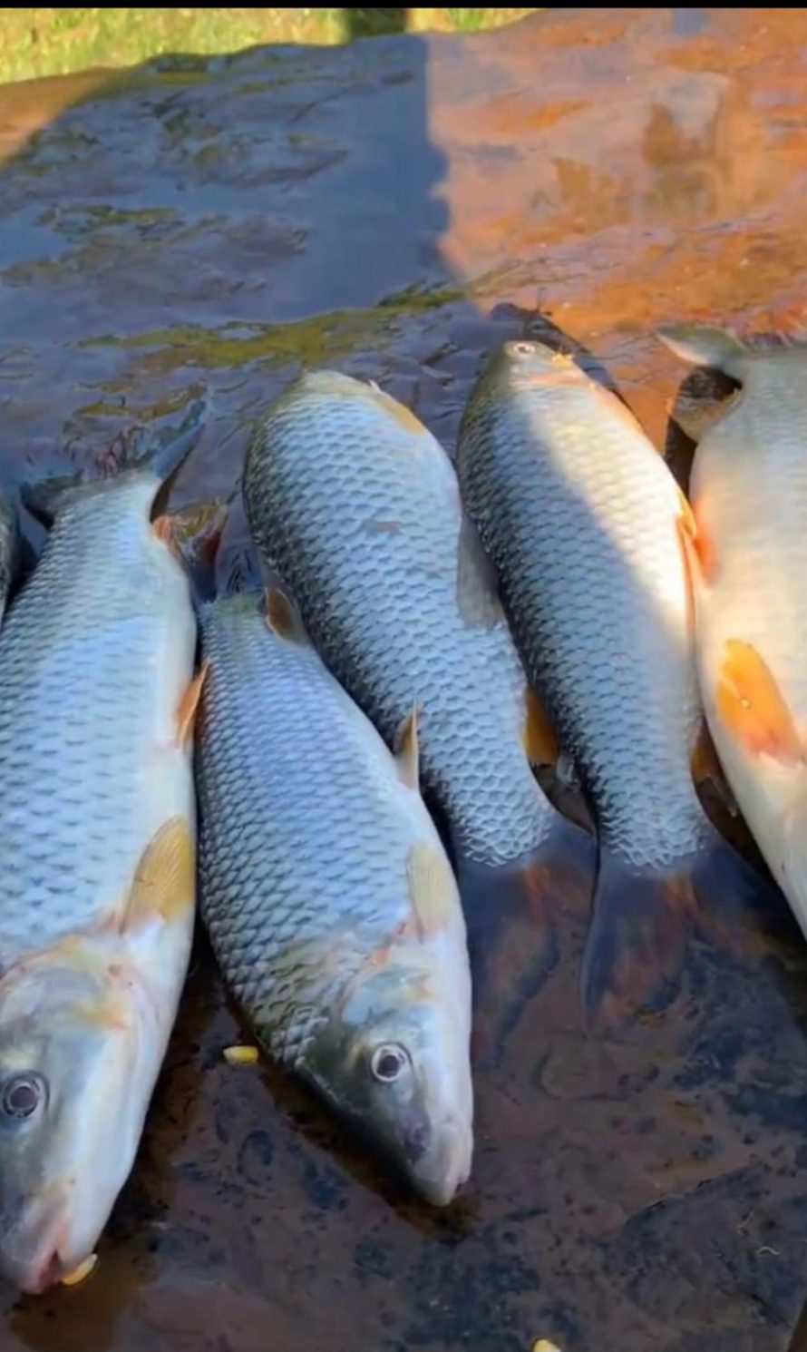 WhatsApp Image 2025-12-10 at 19.21.26